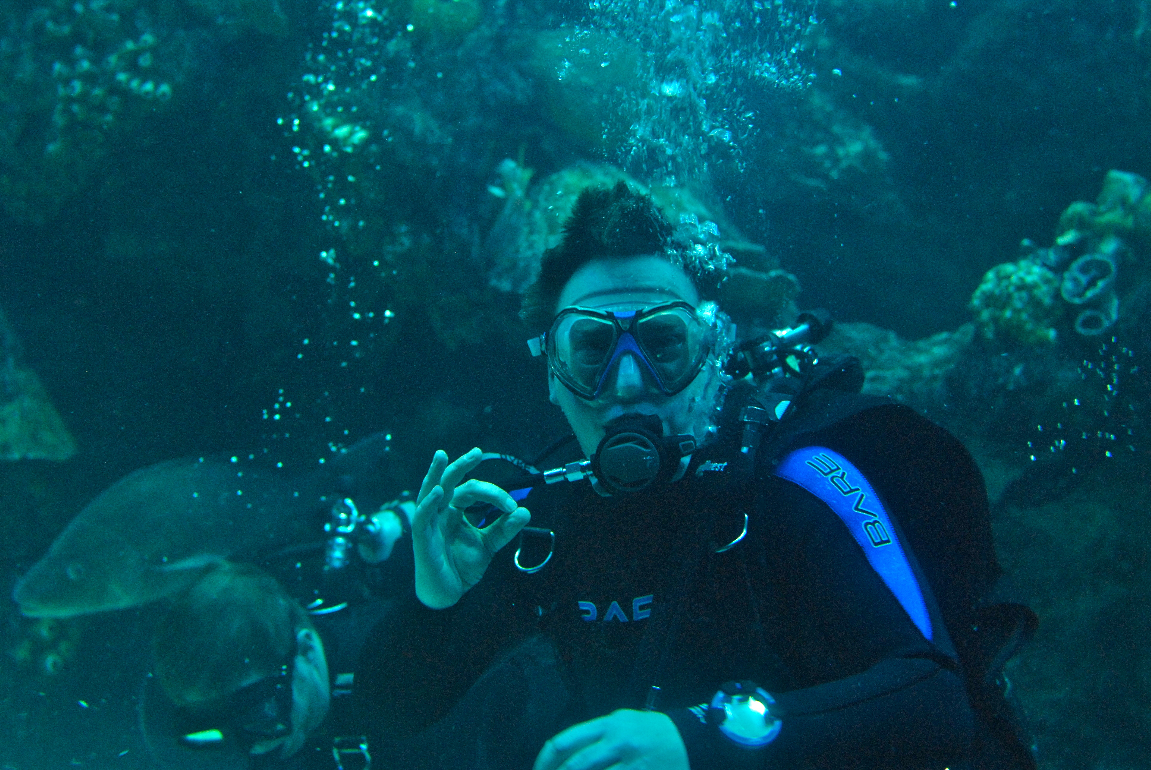 Linus diving