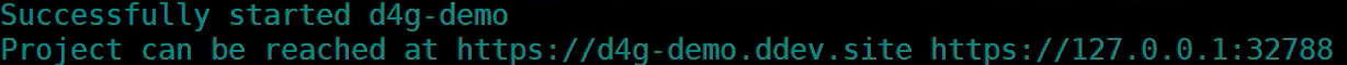 DDEV setup is complete when the `Successfully started` message displays.